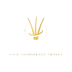 Real of Hair